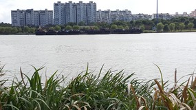 New Apartment, Wanda & Local Area