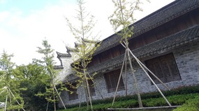 New Apartment, Wanda & Local Area