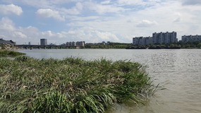 New Apartment, Wanda & Local Area