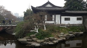 Shanghai New Year