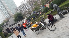 Shanghai New Year