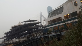 Shanghai New Year