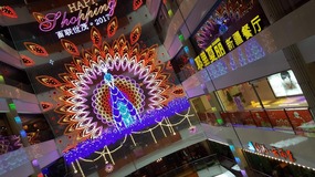 Shanghai New Year