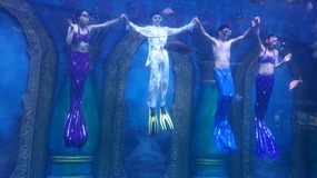 Ocean World With Linda