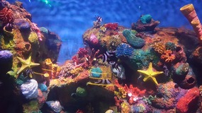 Ocean World With Linda