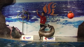 Ocean World With Linda