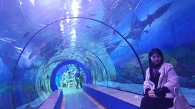 Ocean World With Linda