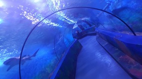 Ocean World With Linda
