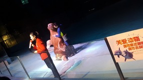 Ocean World With Linda