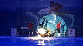Ocean World With Linda