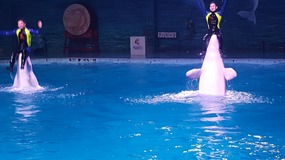 Ocean World With Linda
