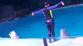 Ocean World With Linda