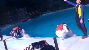 Ocean World With Linda