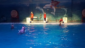 Ocean World With Linda