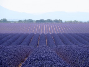... Changing Colour