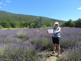 Lavender? ... where  are the red rocks?