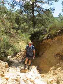 Still intrepid after all these years!