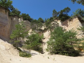 White Cliffs of Colorado