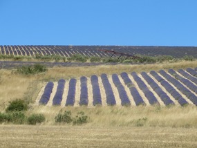Plateau d'Albion