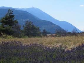 Mont Ventoux ... again!