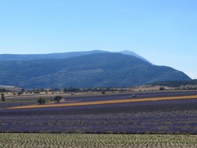 Plateau d'Albion