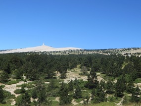 The Ascent