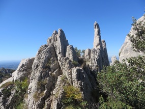 Between the Dentelles II