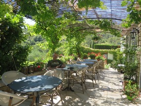 Le Grand Jardin - terrace