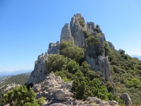 Between the Dentelles I