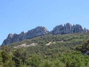 Dentelles closer up