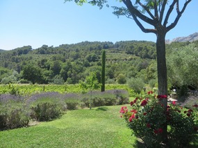 Le Grand Jardin - jardin