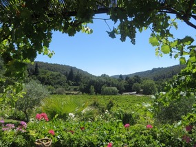 Le Grand Jardin - view