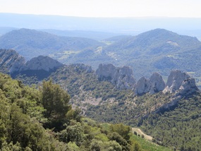 View from the top