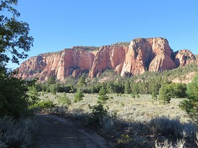 Along Kolob Terrace