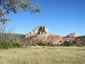 Along Kolob Terrace