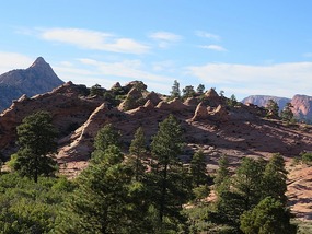 Along Kolob Terrace