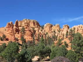 Red Canyon Dixie NF 