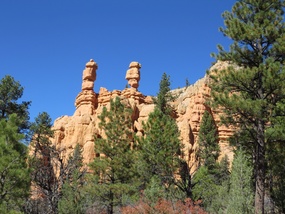 Red Canyon Dixie NF 