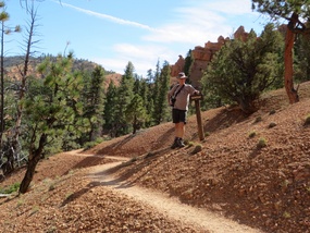 Red Canyon Dixie NF 