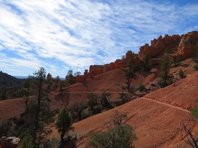 Red Canyon Dixie NF 