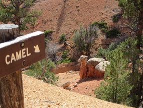 Red Canyon Dixie NF 