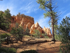 Red Canyon Dixie NF 