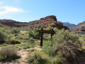 Grafton Cemetery
