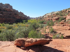 Calf Creek Falls