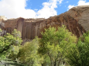 Calf Creek Falls - Desert Varnish
