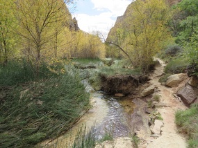 Calf Creek