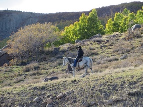 Cowboy