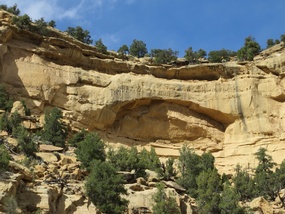 Upper Valley Granary