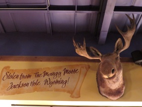 Moose