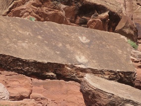 Dinosaur Footprint